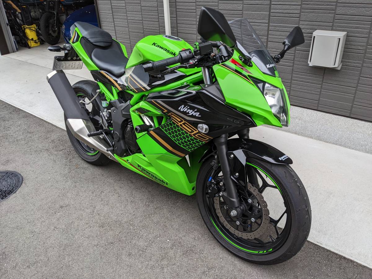 Ninja250SL サーキット走行仕様 (書類有)（kawasaki ninja250sl 
