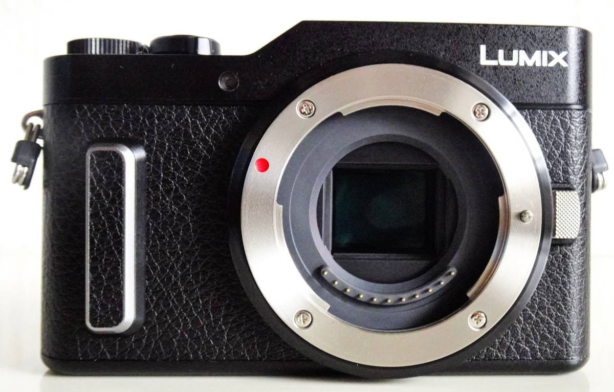 Panasonic LUMIX パナソニック ミラーレス一眼カメラ DC ルミックス 12 