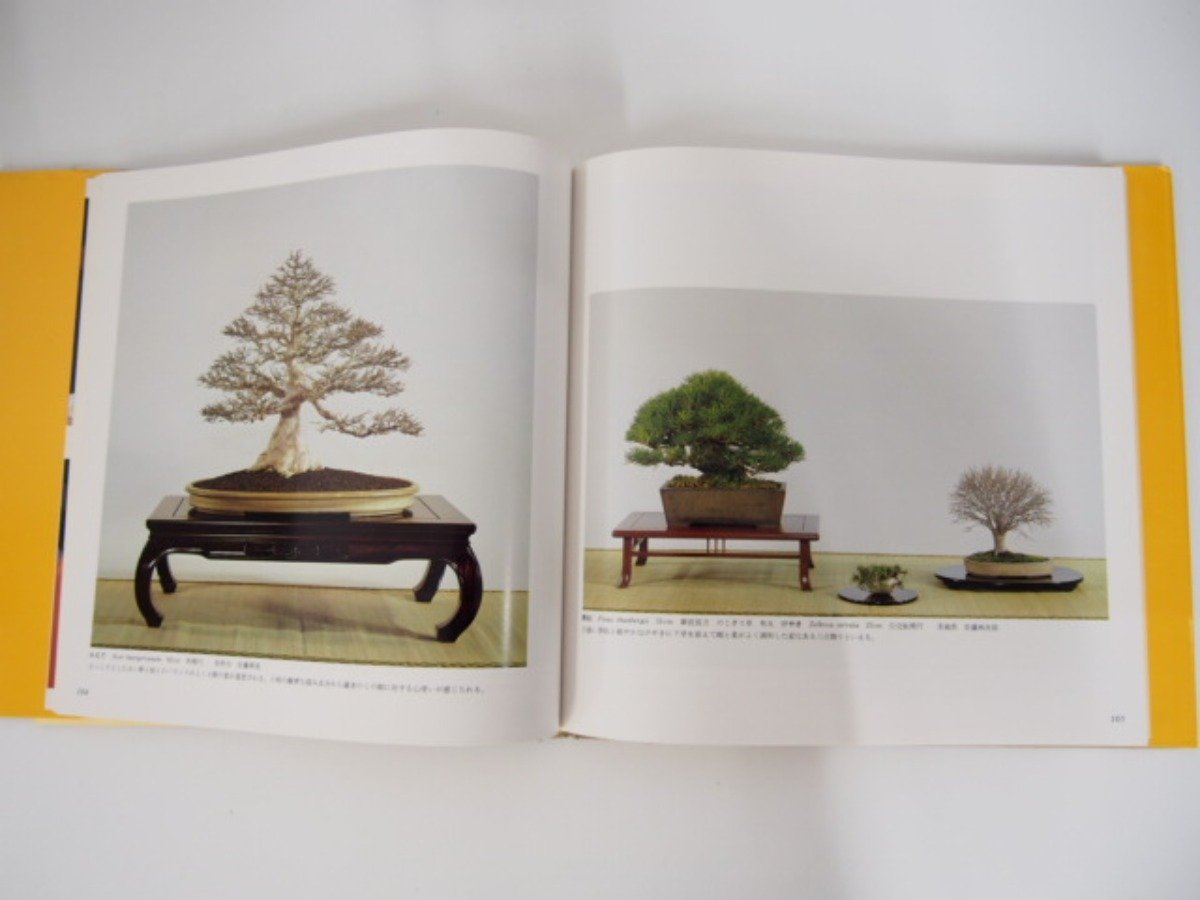 国風盆栽展 第69回 : 日本盆栽協会: 本