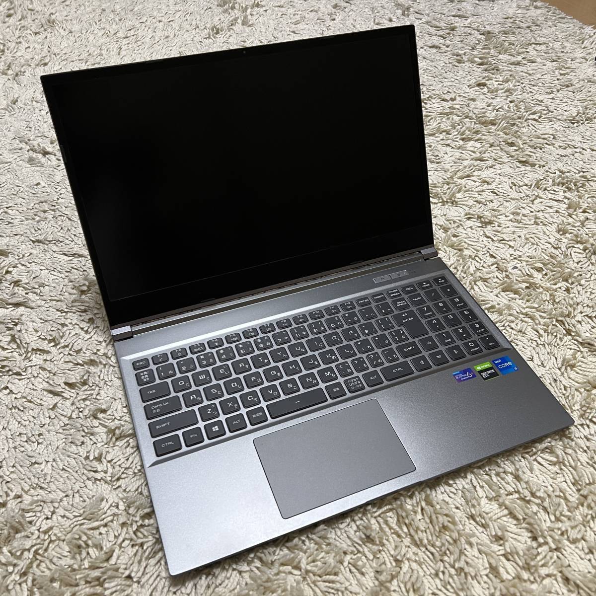 raytrek G5-TA / Windows 10 Home / Core i5-11400H / 16GBメモリ 