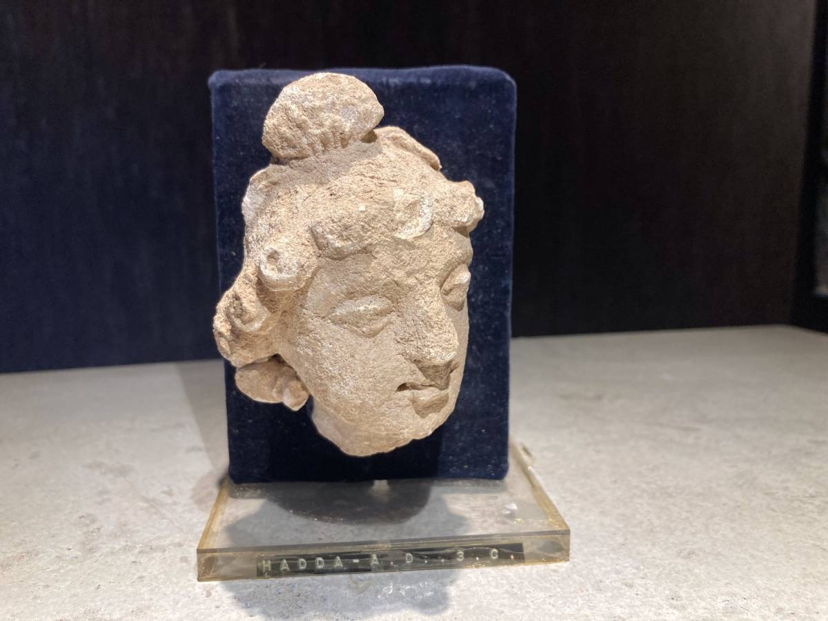 ハッダ ストゥッコ仏頭残欠 ハッダ ストゥッコ仏頭残欠 ○2-4世紀頃