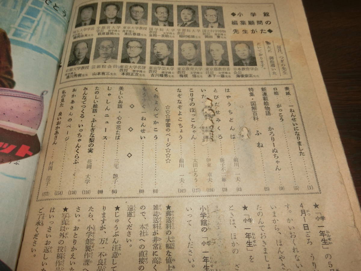 カロリーヌとゆかいな8ひき) : 新装版 ピエール・プロブスト 