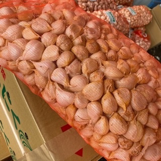 青森県 バラにんにく10Kg M 新物 M 青森県バラにんにく10Kg