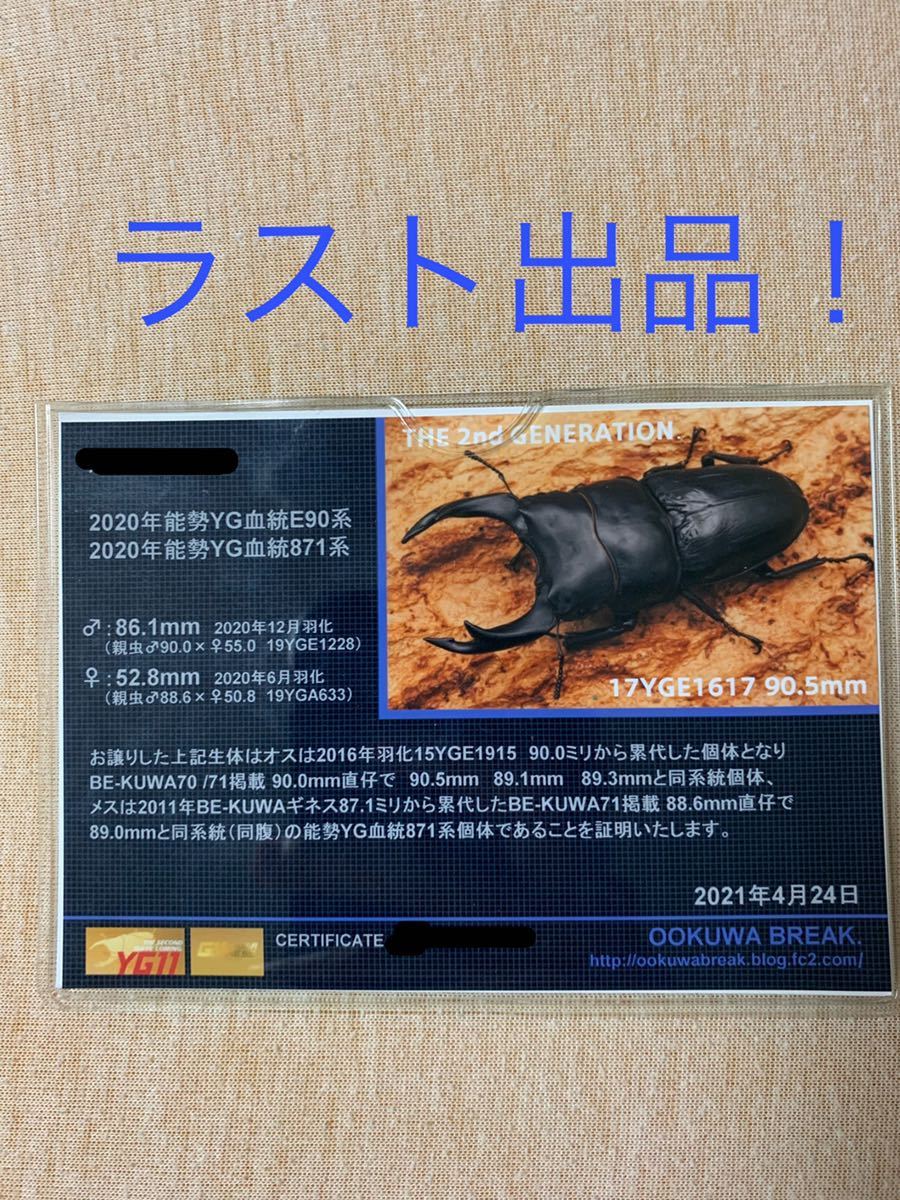 i-img1062x797-1733004471zby4zh7