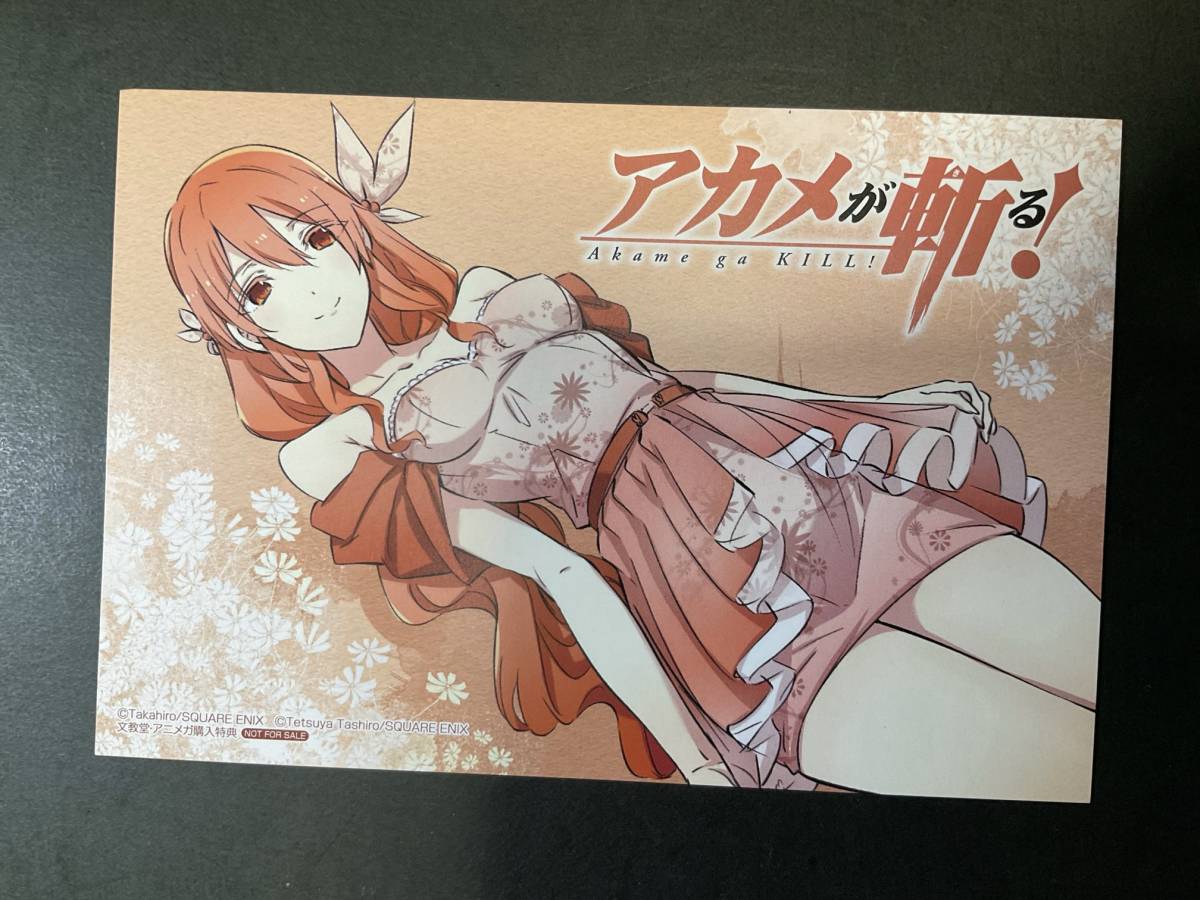 ∀ アカメが斬る! 特典ポストカード①(コミック、アニメグッズ)｜売買