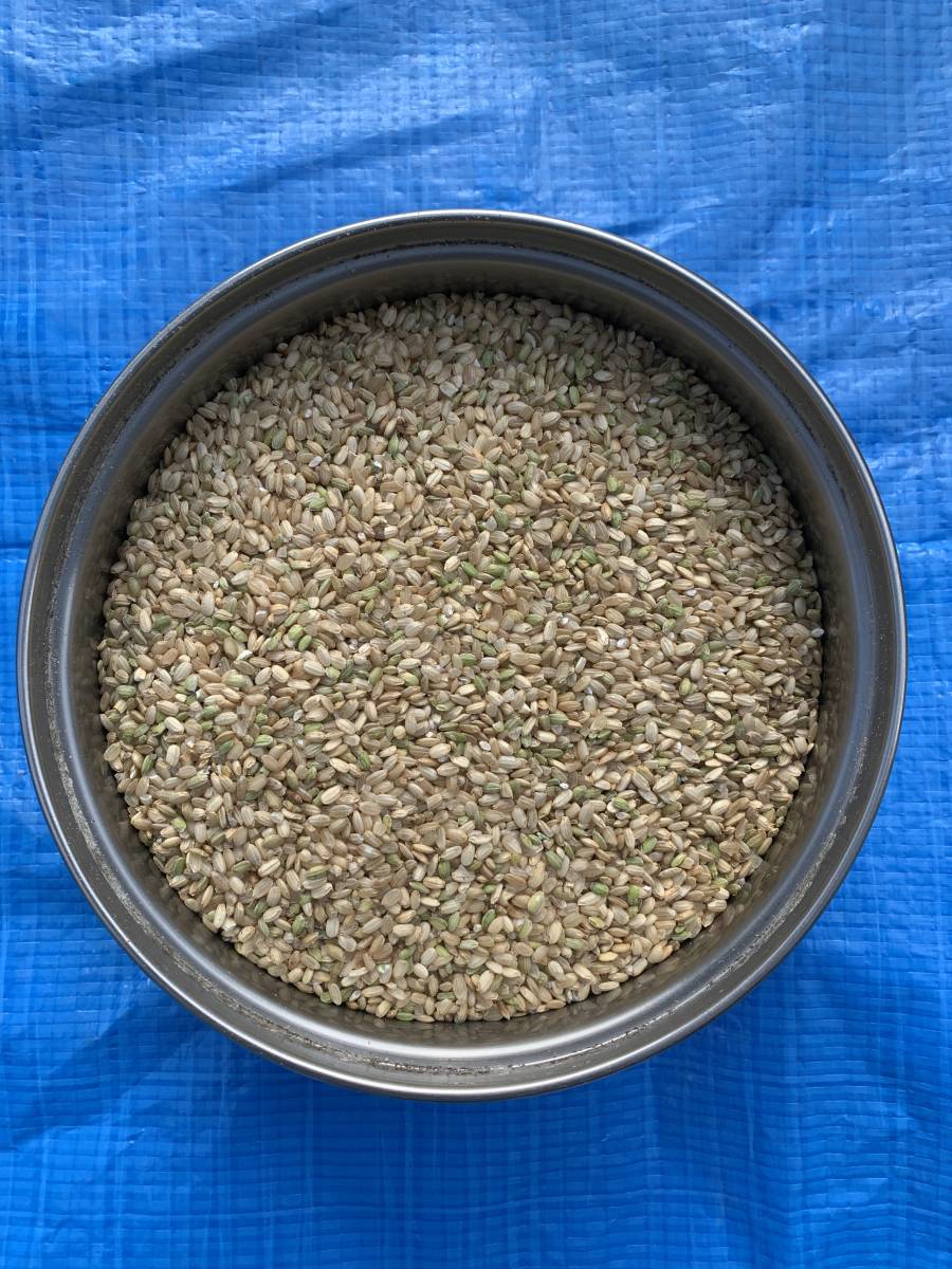 新作登場，最新作 令和4年 飼料玄米 25ｋｇ くず米 ペットのエサ(エサ)｜売買されたオークション情報、yahooの商品情報をアーカイブ公開 - オークファン エサ