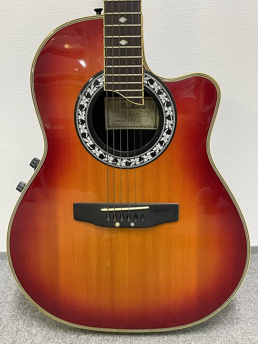 1円スタート アコースティックギター Pro Martin CUSTOM MODEL NO