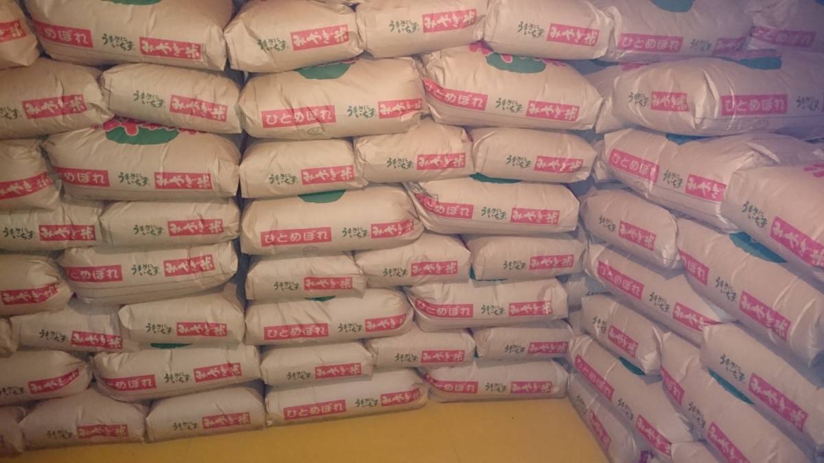 宮城県 令和1年産ひとめぼれ 精米27kg 減農薬 無殺虫剤 色選別 保冷庫 令和7年産 無洗米 宮城 ひとめぼれ 10kg （ 5kg × 2袋 ） ｜ 菅原精米