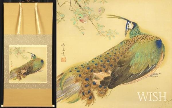真作 WISH 永田春水 孔雀 日本画 金泥仕様 掛軸 絹本 共箱 花鳥図 〇文