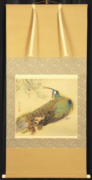 真作 WISH 永田春水 孔雀 日本画 金泥仕様 掛軸 絹本 共箱 花鳥図 〇文