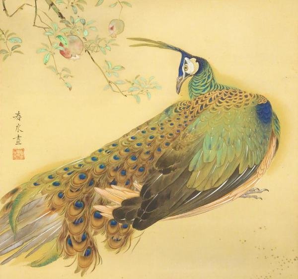 真作 WISH 永田春水 孔雀 日本画 金泥仕様 掛軸 絹本 共箱 花鳥図 〇文