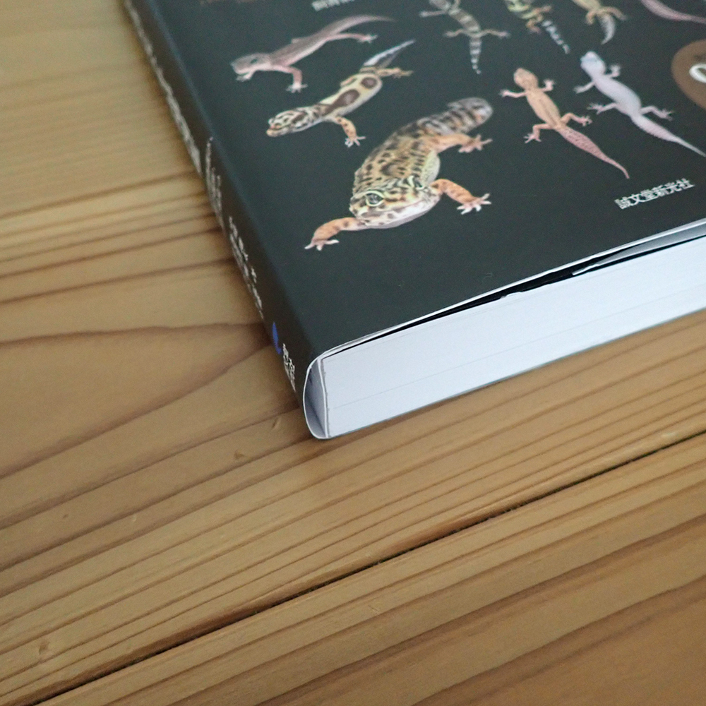 ヒョウモントカゲモドキ品種図鑑 = LEOPARD GECKO Morph Book 海老沼