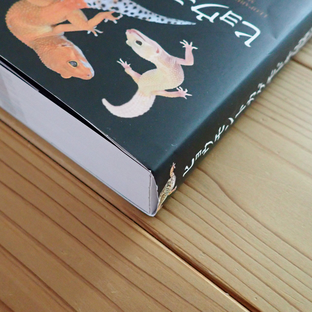 ヒョウモントカゲモドキ品種図鑑 = LEOPARD GECKO Morph Book 海老沼