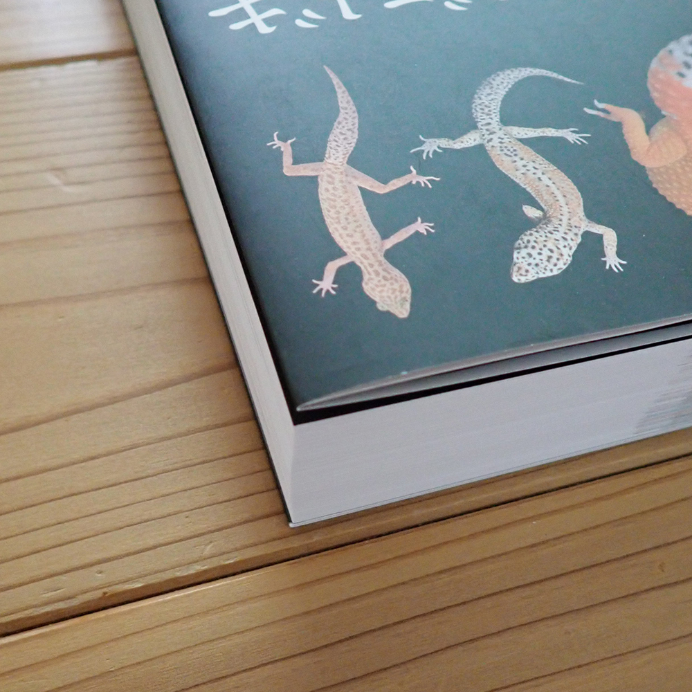 ヒョウモントカゲモドキ品種図鑑 = LEOPARD GECKO Morph Book 海老沼