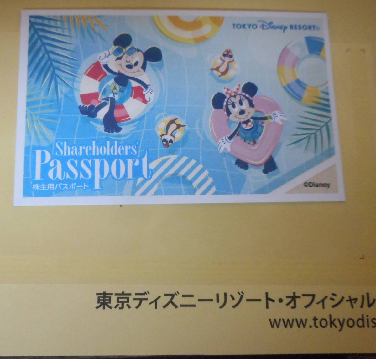 東京ディズニーリゾート 大人2枚子供1枚11月20日土曜日10時30分から  