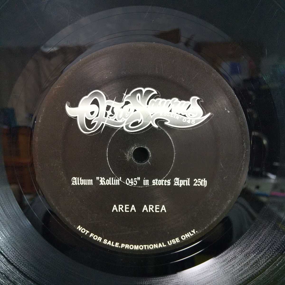 OZROSAURUS レコード オジロザウルス AREA - 公式通販 ⁄ 希少 メルカリ
