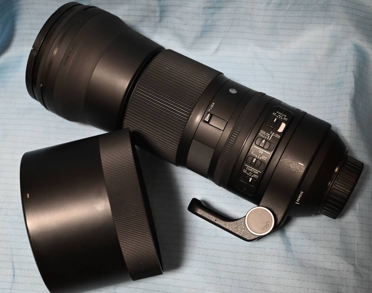 DG Sigma 150-600mm OS | DN HSM F5-6.3 Sports Lens - Review 