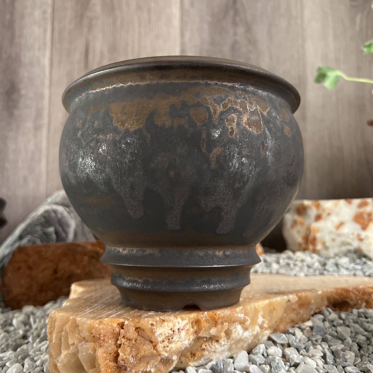 美品 中川智治 作家鉢 植木鉢 発泡 アガベ グラキリス パキプス 塊根 新品未使用】 中川智治 植木鉢 アガベ グラキリス パキプス 塊根 発泡