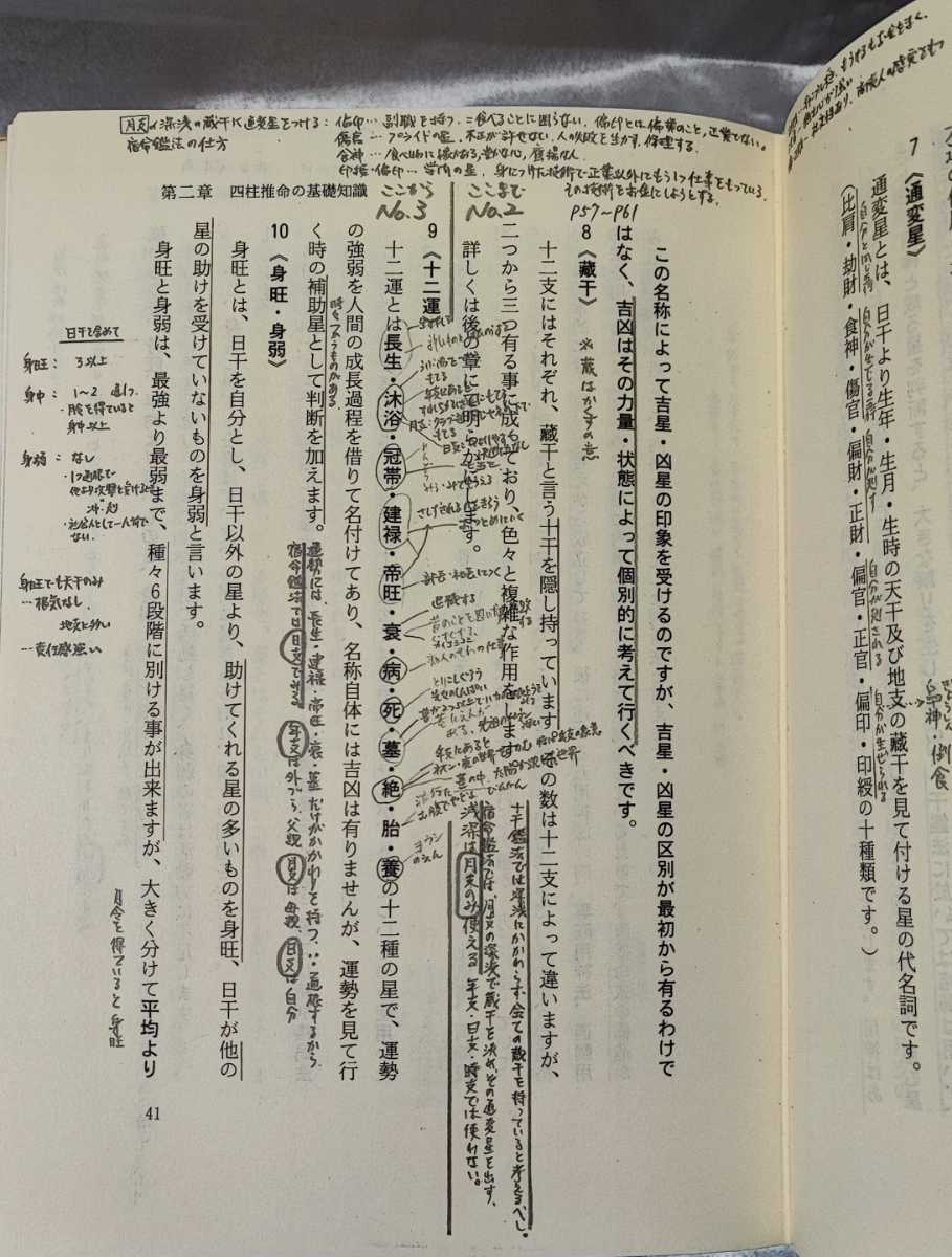 実践鑑定講座 ⁄ 四柱推命 四柱推命実践鑑定講座 古本、中古本、古書籍