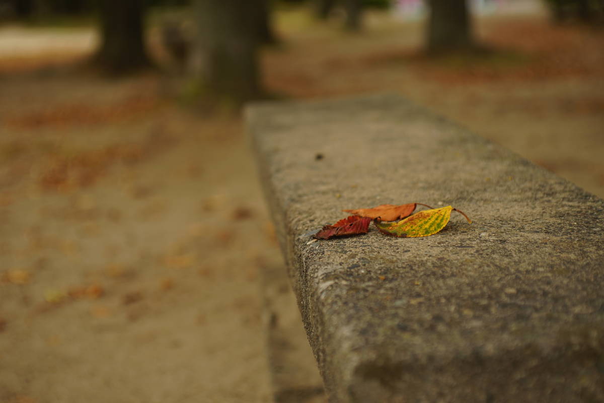 【実用品】Nikon AF NIKKOR 35-70mm F/2.8 Zoom Lens For Nikon ニコン ニッコール 大三元 ズームレンズ 5417