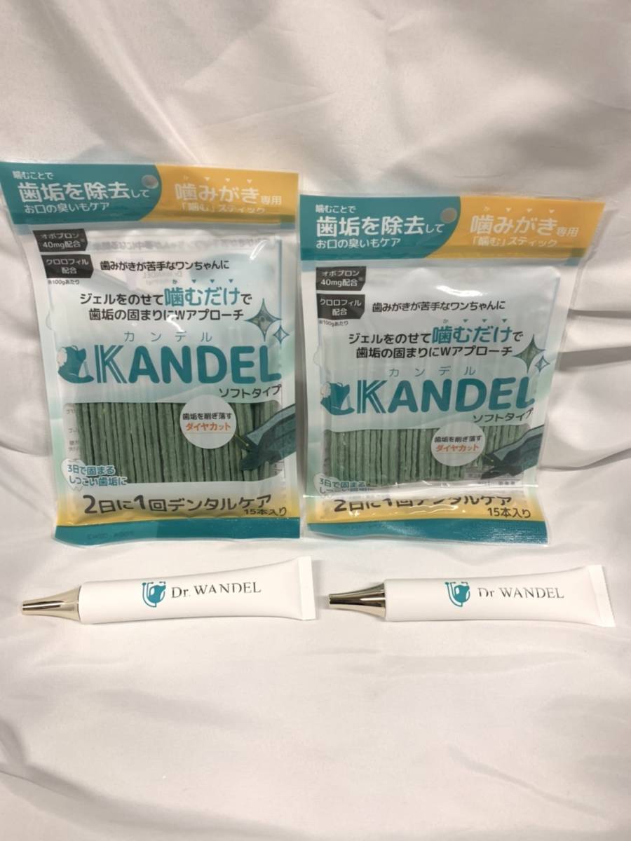 T2005 ドクターワンデル Dr.WANDEL カンデル KANDEL 2セット 歯石