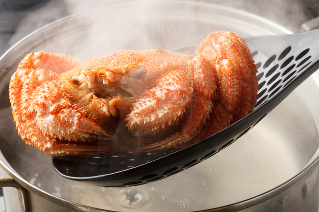 限定SALE，低価 かに屋 稚内産 ボイル毛蟹 活時４尾約2.4ｋｇ 炊き上がり時4尾約2.0ｋｇ 同梱可能 年末 年始配送指定日可能(毛ガニ)｜売買されたオークション情報、yahooの商品情報をアーカイブ公開 - オーク 毛ガニ