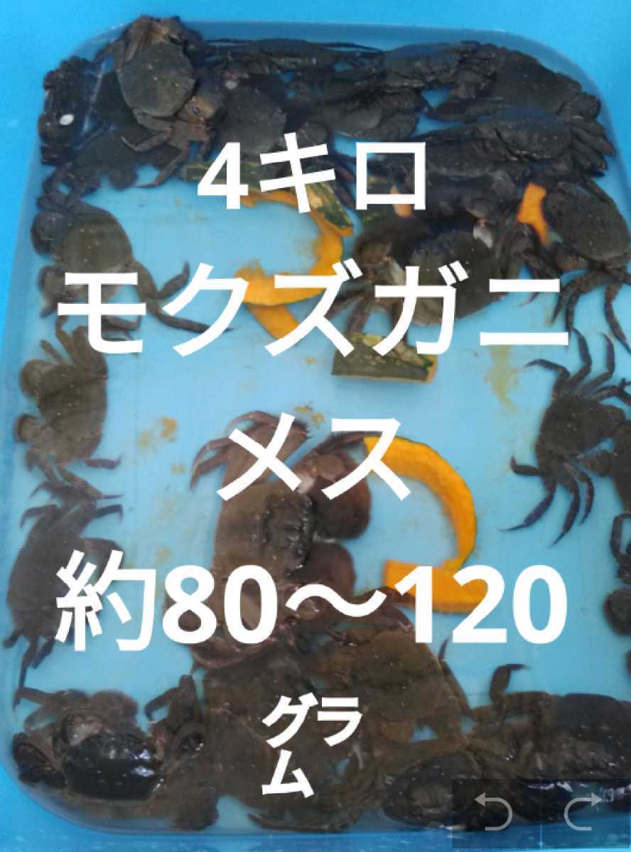 【お得用】モクズガニメスのみ4キロ約80-120㌘