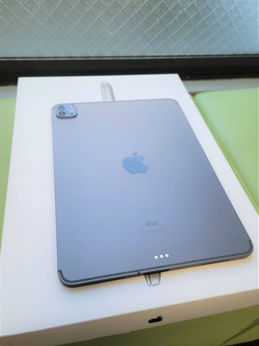 使用頻度小】iPad Pro 11インチ 第2世代 Wi-Fi+Cellular 256GB MXE42