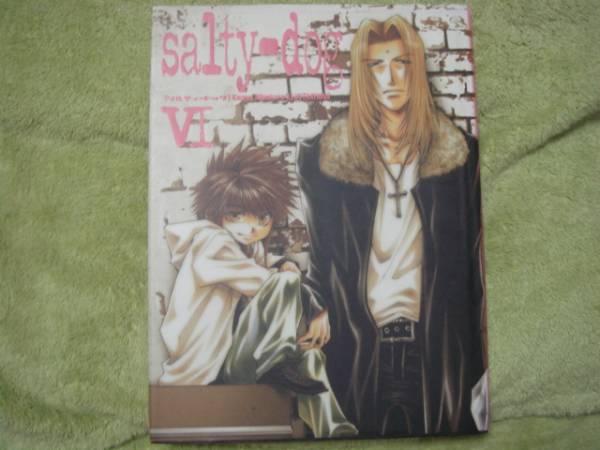 ○salty-dog Ⅵ ソルティードッグ 峰倉かずや 画集(イラスト集