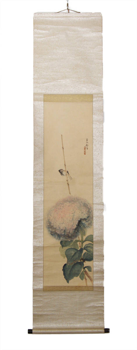 模写】 福田平八郎 『 雀に紫陽花図 花鳥画 』 肉筆 紙本 書画 掛軸