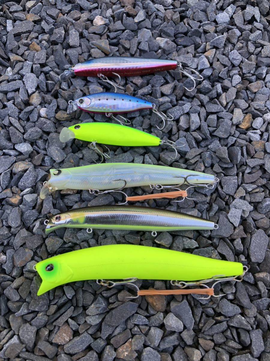 魚じゃらし工房 マレ210 マレ 魚じゃらし工房 0 魚じゃらし工房La 210