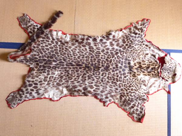 希少 古い豹毛皮敷物 ヒョウ 剥製(科学、自然)｜売買された