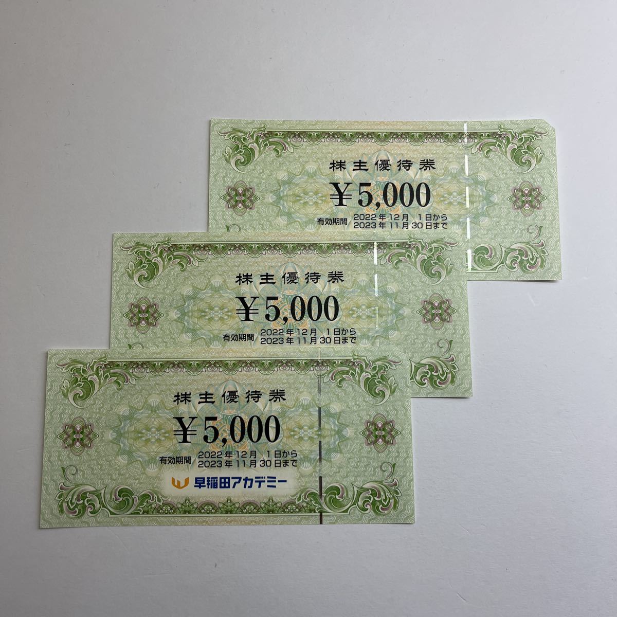 早稲田アカデミー 株主優待券15,000円分 【公式通販】