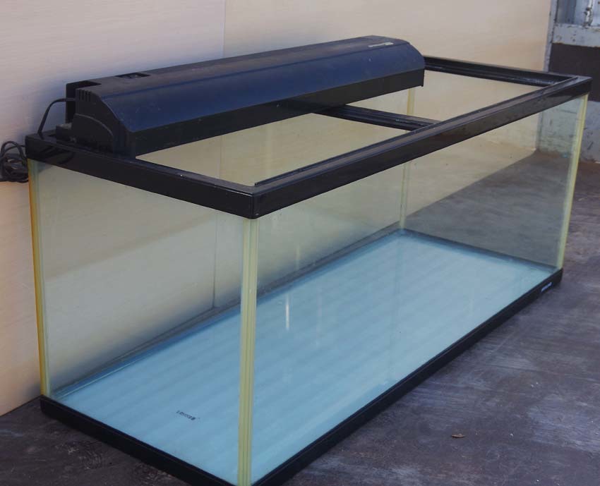 □ニッソー 大型水槽 120cm （引取り限定）(120cm～)｜売買された  