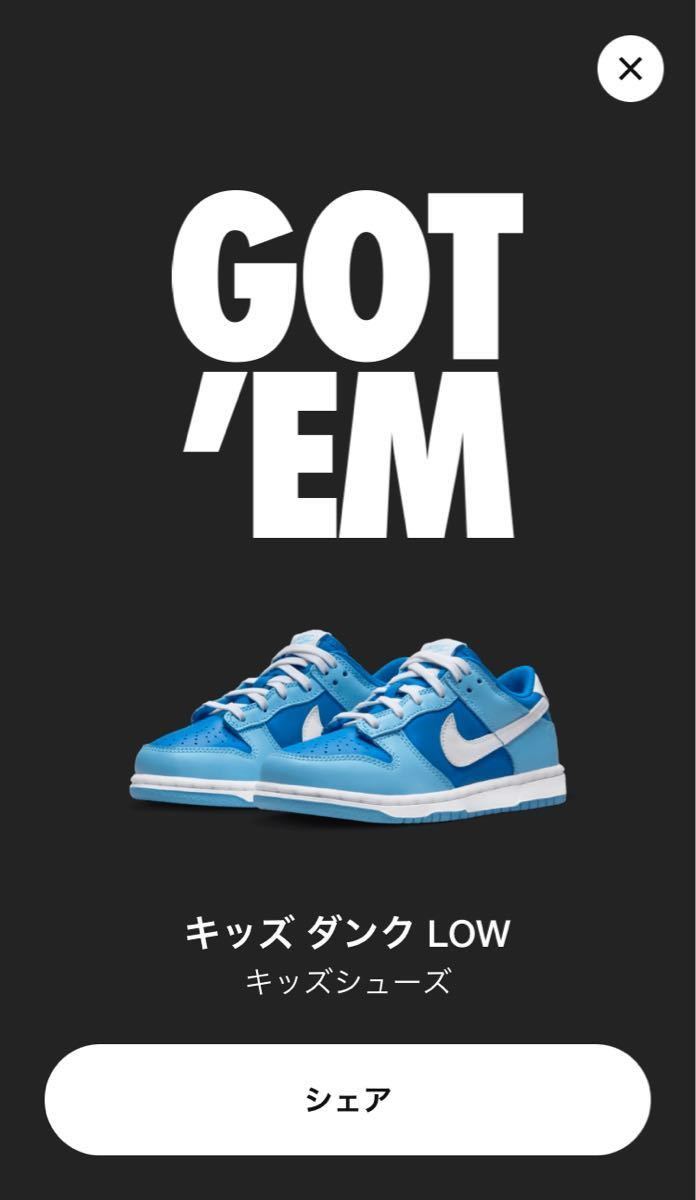 NIKE DUNK LOW ARGON キッズシューズ　22.0cm