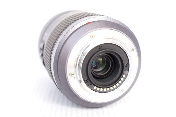☆実用品☆PANASONIC パナソニック LUMIX LUMIX G VARIO 45-200mm F4
