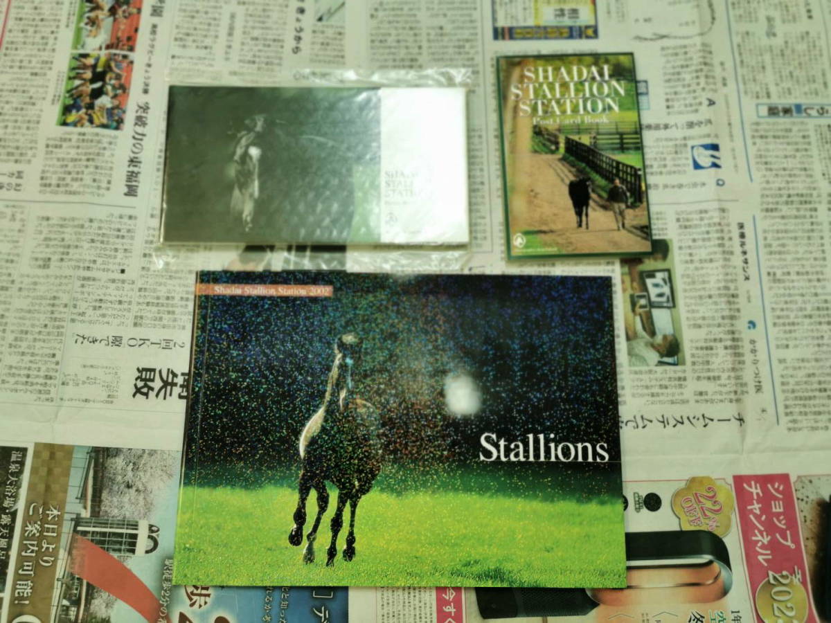 Shadai Stallion Station 2002 社台スタリオンステーション 種牡馬