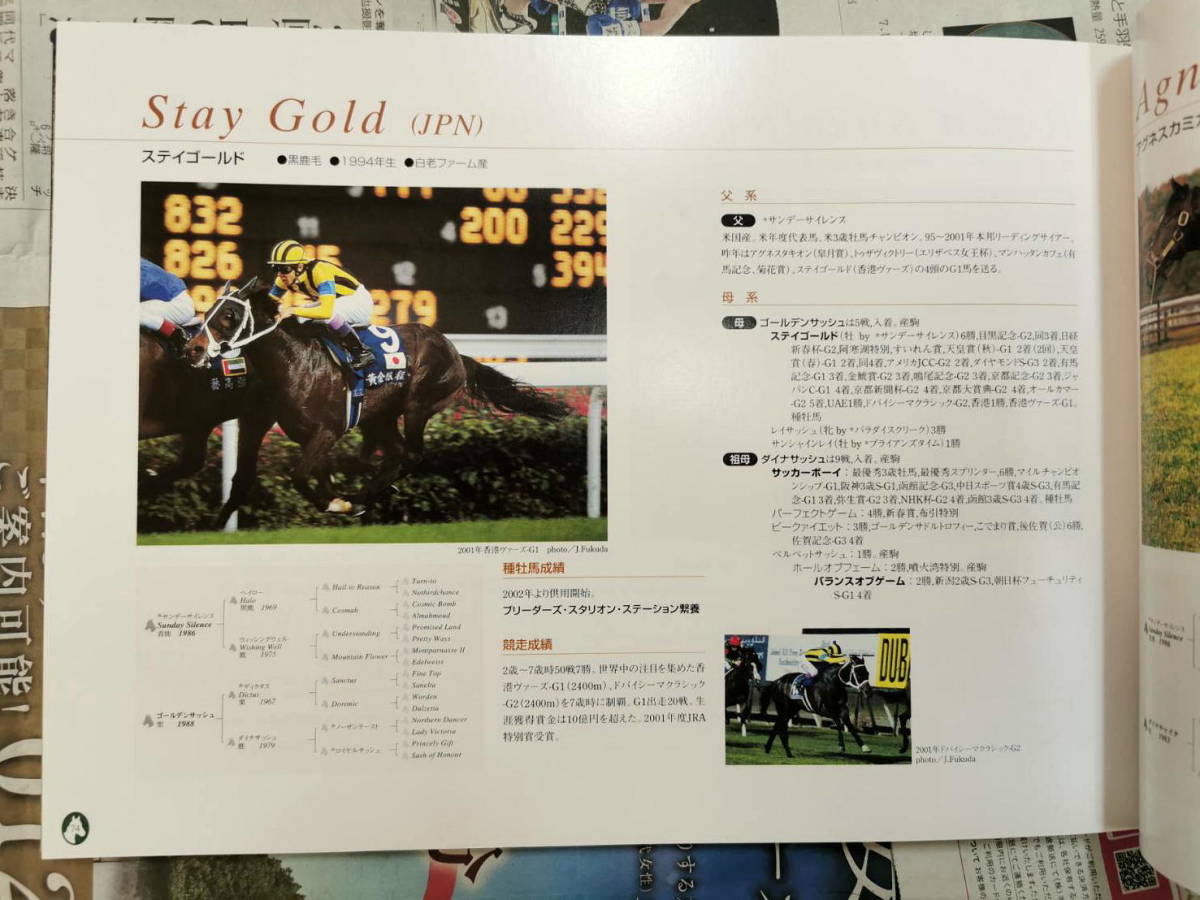 Shadai Stallion Station 2002 社台スタリオンステーション 種牡馬