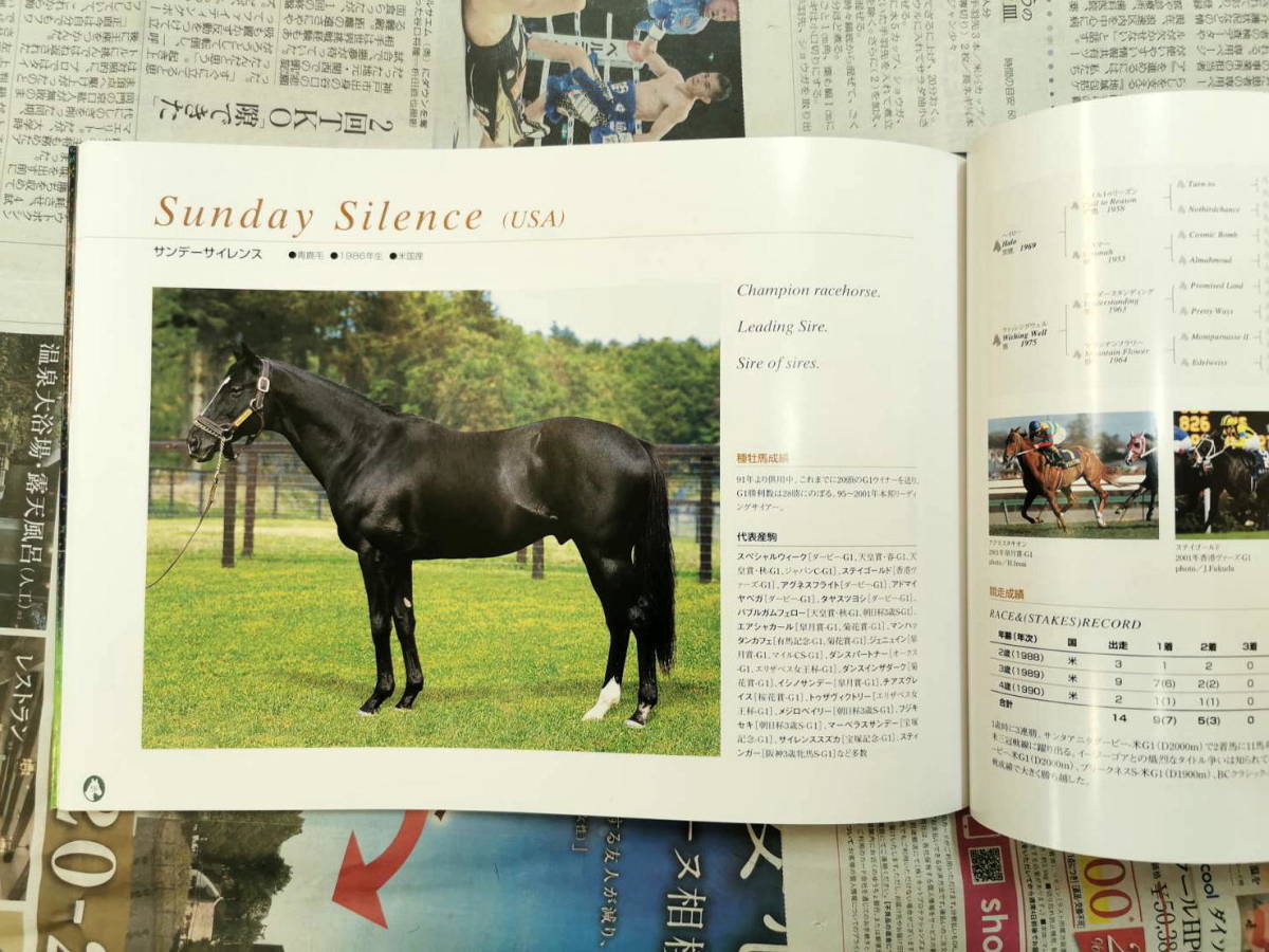 Shadai Stallion Station 2002 社台スタリオンステーション 種牡馬
