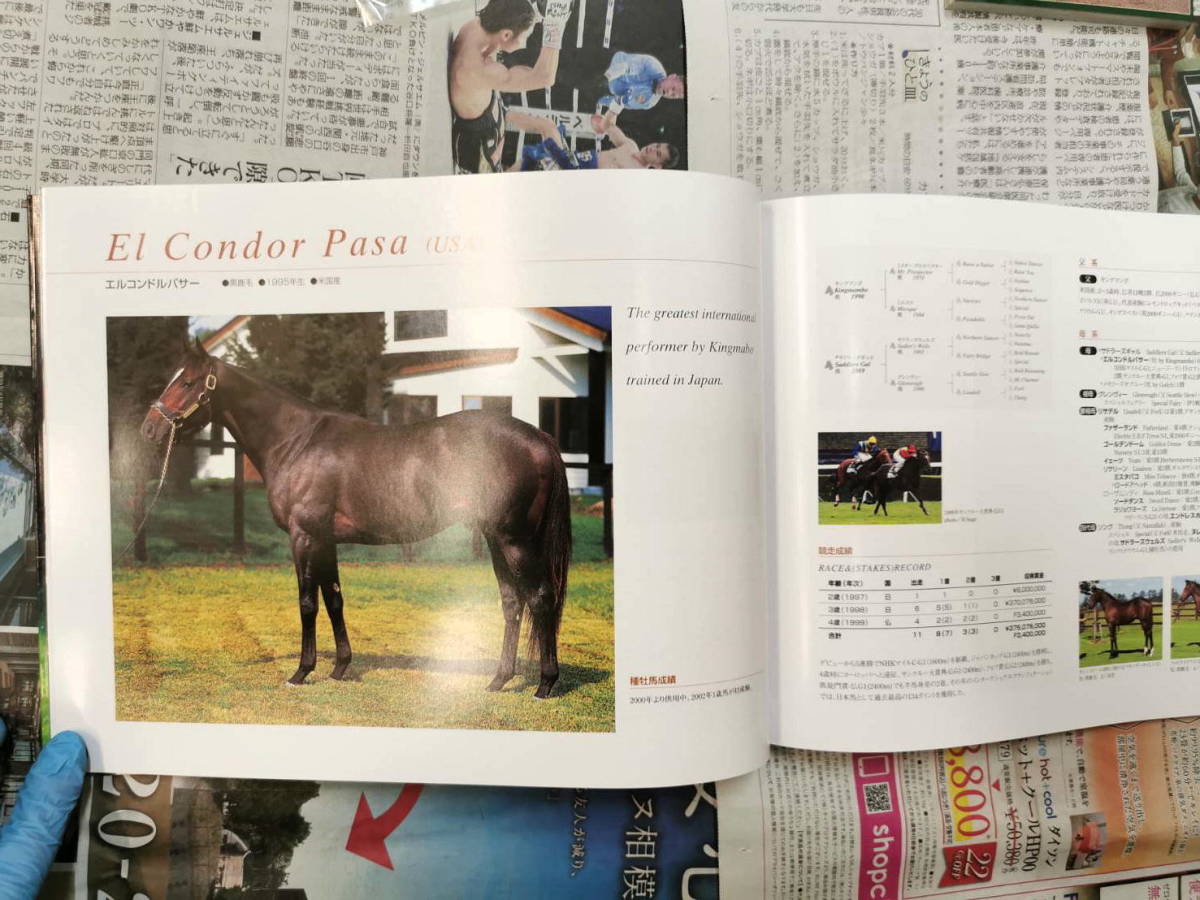 Shadai Stallion Station 2002 社台スタリオンステーション 種牡馬