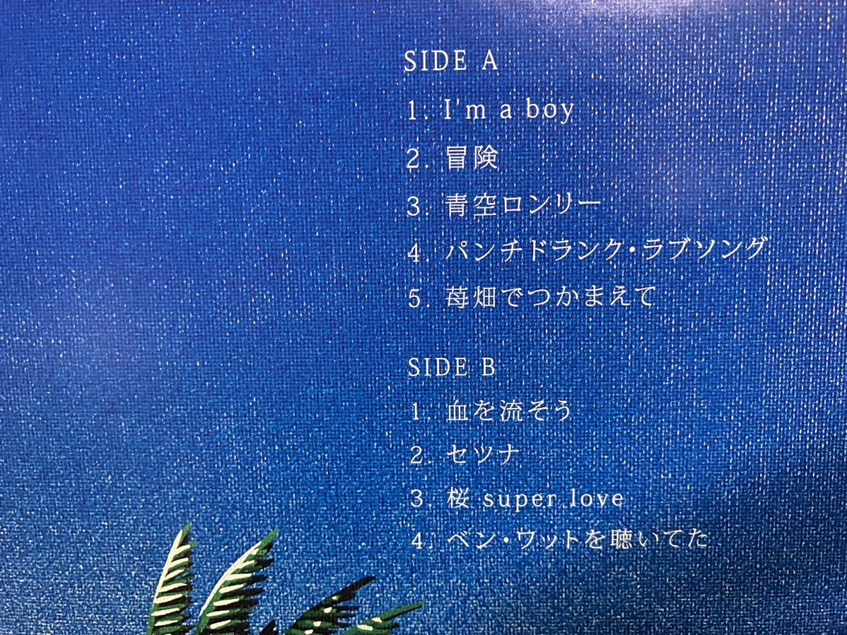 得価，安い SUNNY DAY SERVICE サニーデイ・サービス 『DANCE TO YOU