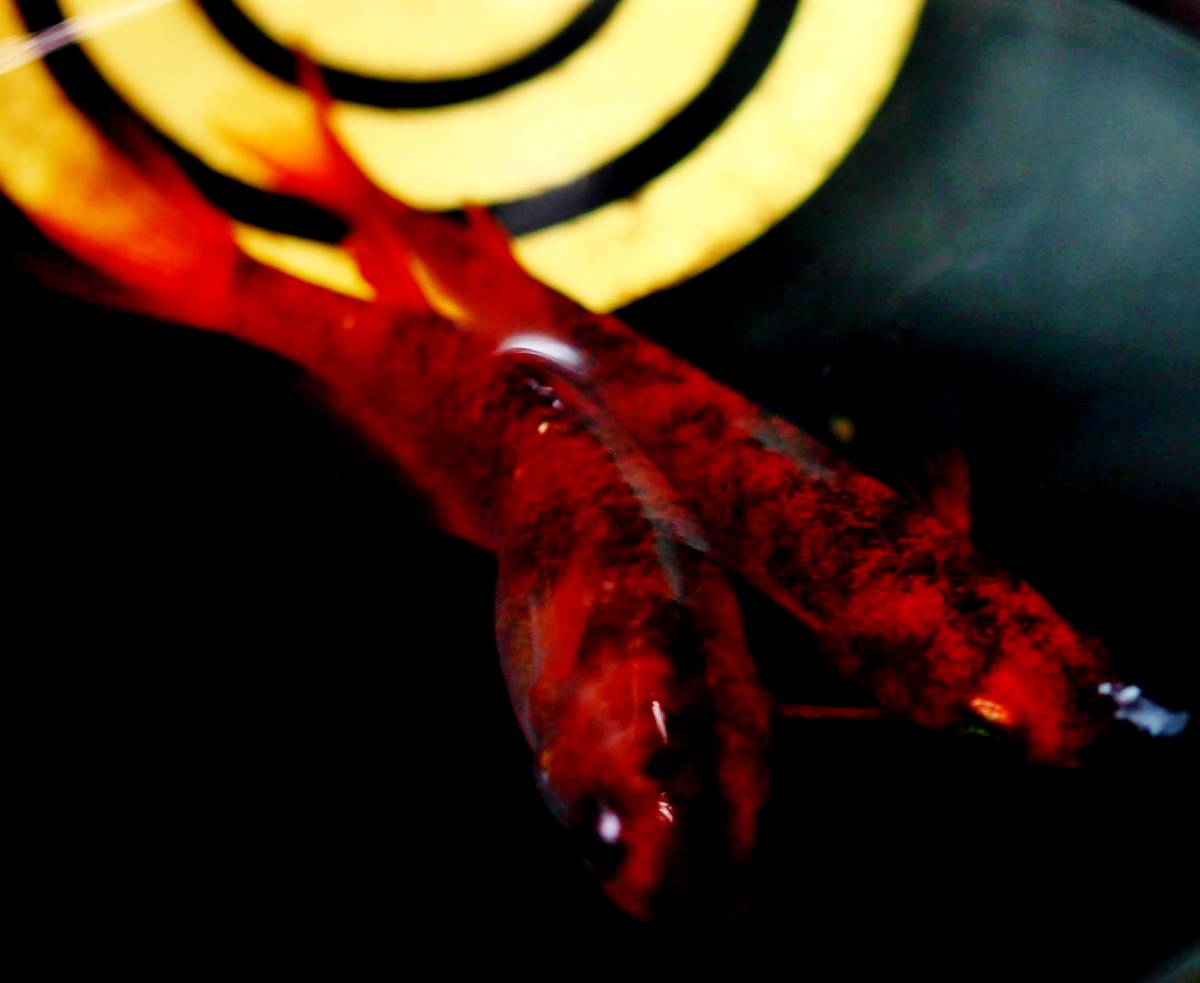 【特選めだか】現物出品・種親にどうぞ!! スペシャル墨濃個体★ 真に赤い・真朱（しんしゅ）メダカ 当方作出 S1612★特濃朱赤めだか 1ペア