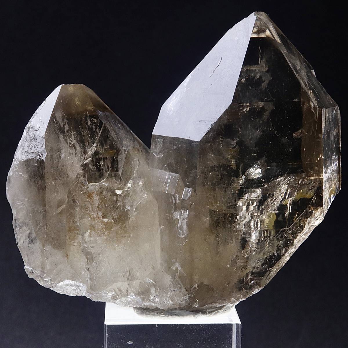 ガネッシュヒマール・スモーキークォーツ 煙水晶 ツイン 連晶 高透明度
