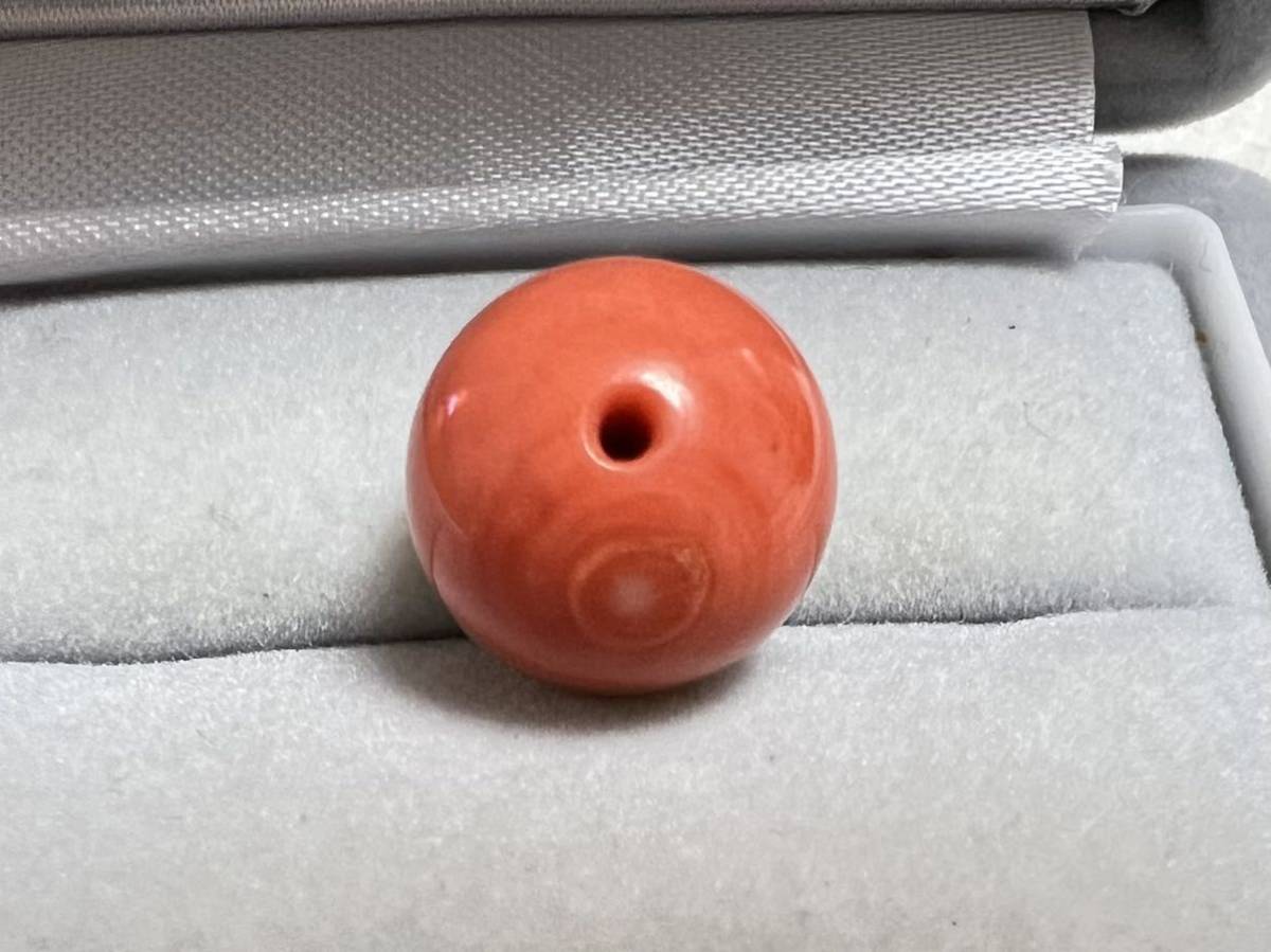 国産天然珊瑚 丸玉ルース 両穴 12.6mm 宝石珊瑚 赤珊瑚 さんご 