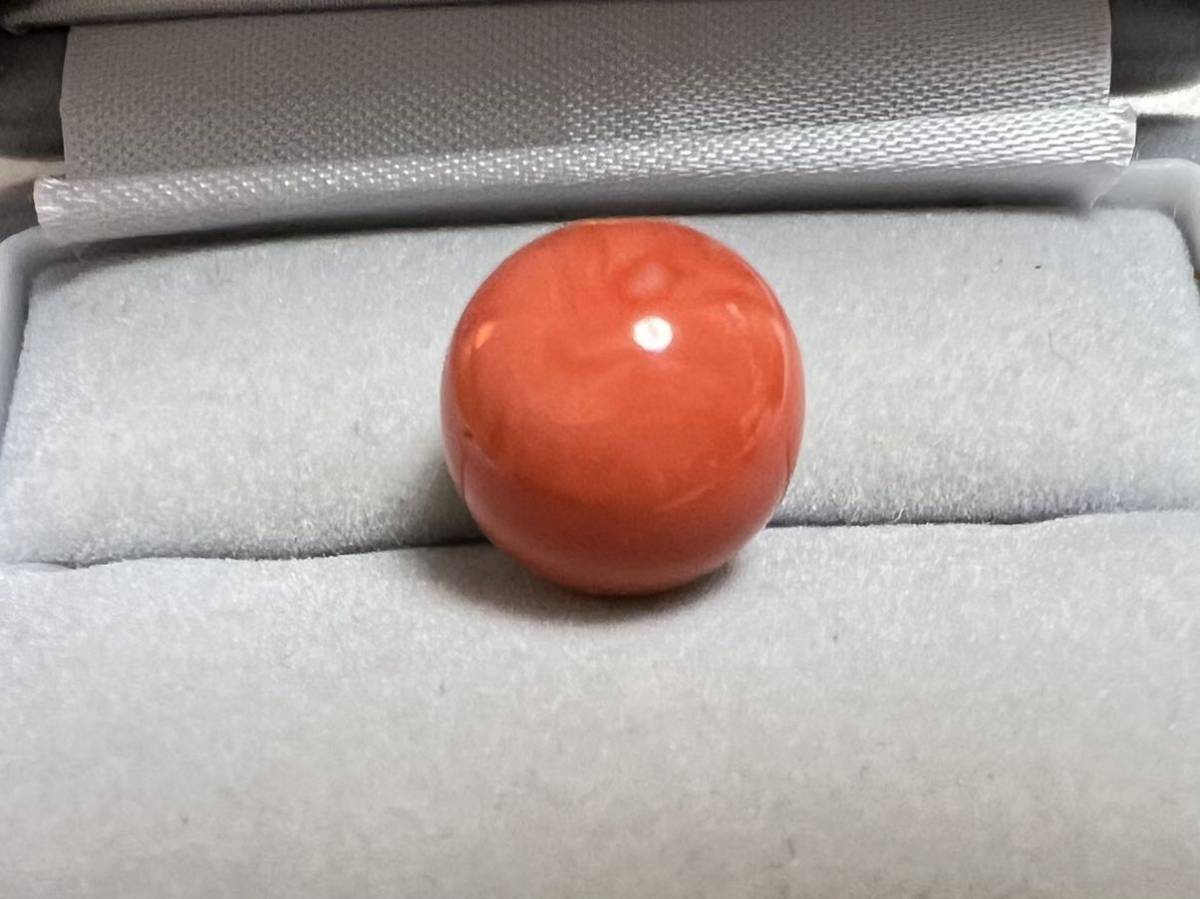 国産天然珊瑚 丸玉ルース 両穴 12.6mm 宝石珊瑚 赤珊瑚 さんご 