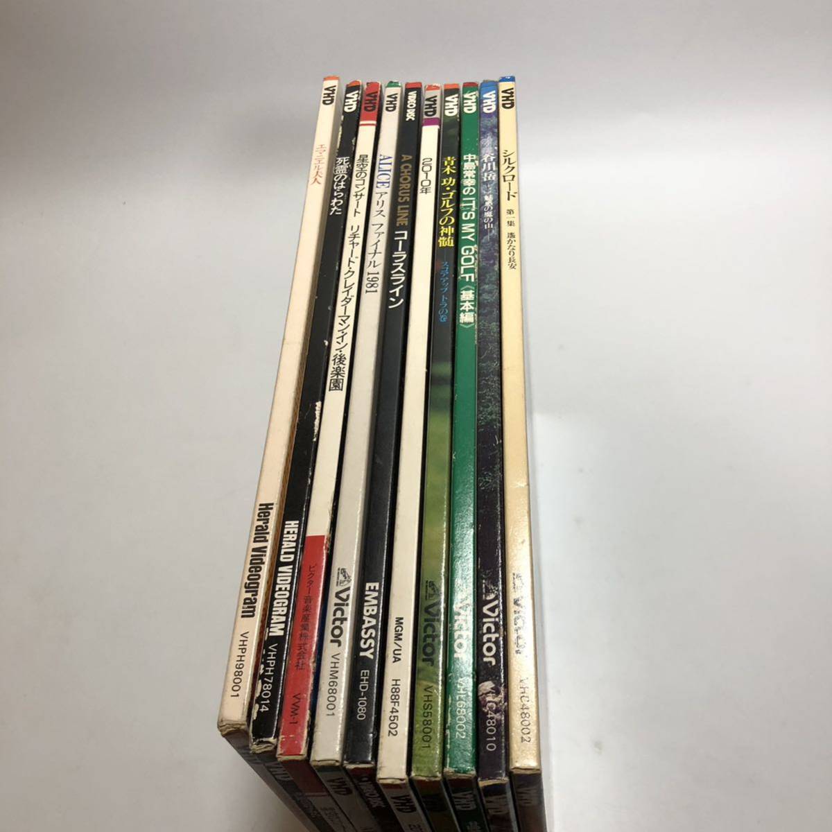 貴重サムライミ死霊のはらわたEVIL DEAD 2006 特別版 DVD