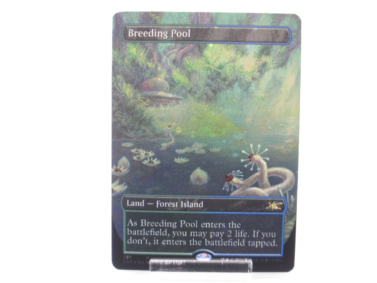繁殖池/Breeding Pool Pool 繁殖池 MTG [EXP] 無M 英語