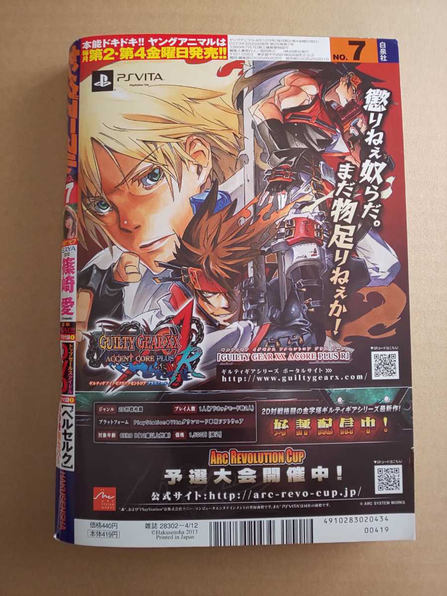 ヤングアニマル 2013年 No.7 DVD＆ベルセルク37巻別カバー付き 超豪華