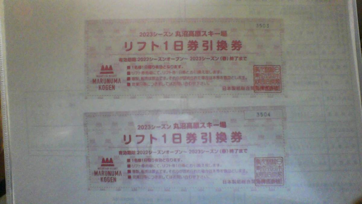 丸沼高原スキー場　1日券　2枚セット