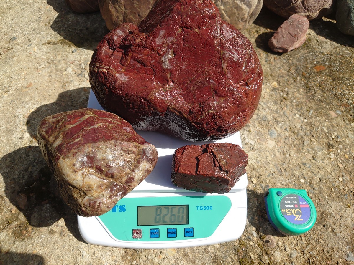 赤石 13石 24kg 京都産 庭石 日本庭園 観賞石 水石(植木、庭木)｜売買